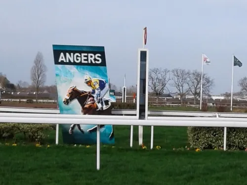 Hippisme : nos préférés pour ce samedi 2 octobre